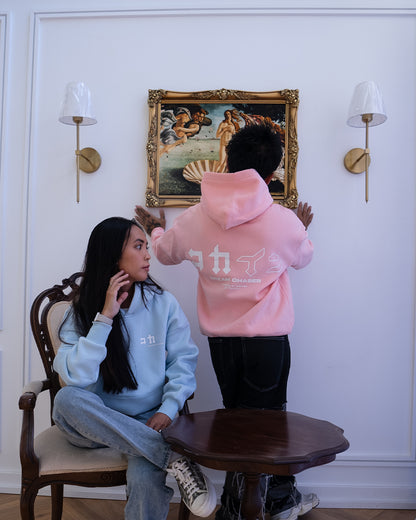 "Dream Chaser" Hoodie // Pastel Pink